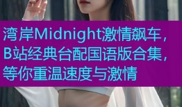 湾岸Midnight激情飙车,B站经典台配国语版合集,等你重温速度与激情