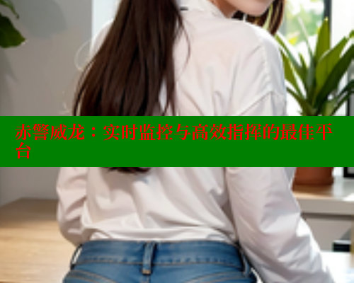 赤警威龙:实时监控与高效指挥的最佳平台