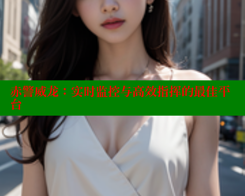 赤警威龙:实时监控与高效指挥的最佳平台 赤警威龙:实时监控与高效指挥的最佳平台
