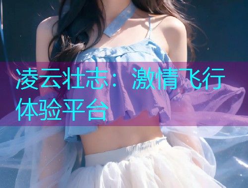 凌云壮志:激情飞行体验平台 凌云壮志:激情飞行体验平台